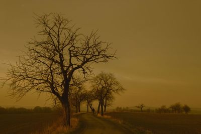 Bare trees on landscape against sky at sunset