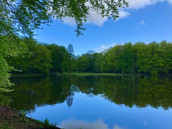 Scenic view of lake by trees against sky