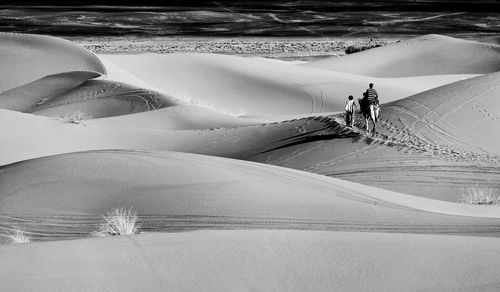 Rear view of people with camel on sand dunes