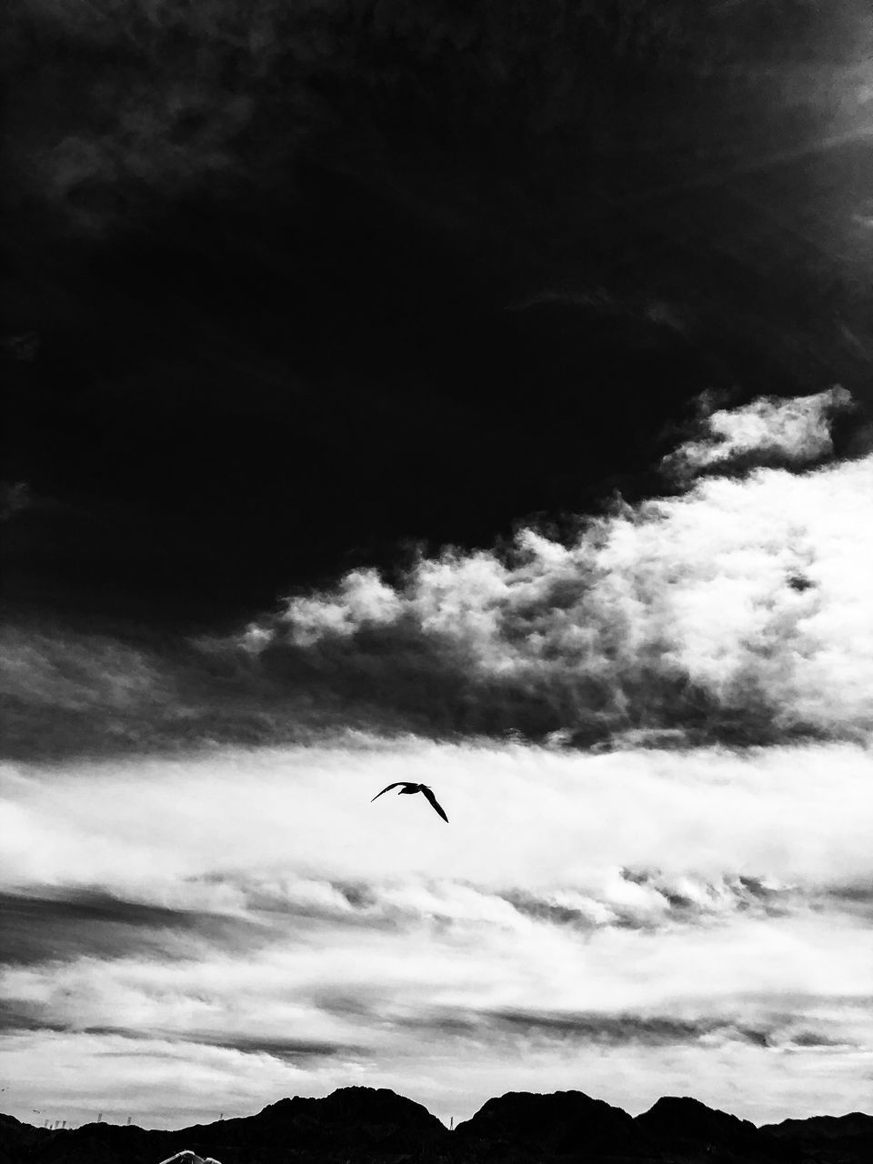 LOW ANGLE VIEW OF SILHOUETTE BIRDS FLYING AGAINST SKY