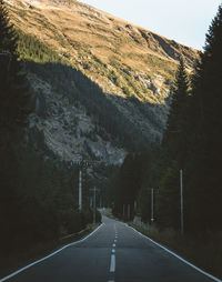 Road amidst trees