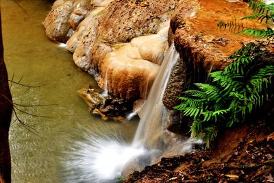 Scenic view of waterfall in forest