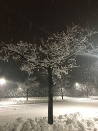 Trees on snow covered field against sky at night