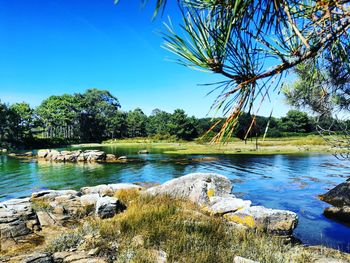 Scenic view of lake against clear sky