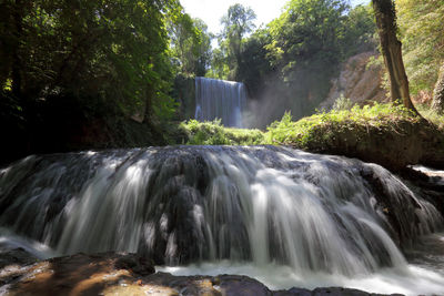 Scenic view of waterfall in forest