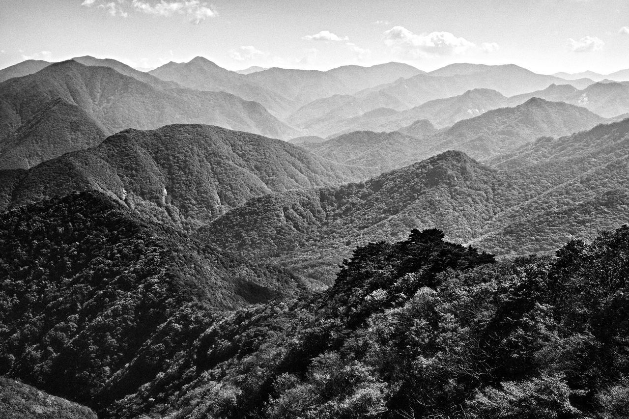 mountain, scenics - nature, landscape, environment, mountain range, black and white, beauty in nature, monochrome photography, nature, monochrome, land, sky, tranquility, tree, no people, non-urban scene, plant, tranquil scene, rock, outdoors, valley, travel destinations, travel, day, wilderness, remote, cloud, forest, idyllic, extreme terrain, high angle view