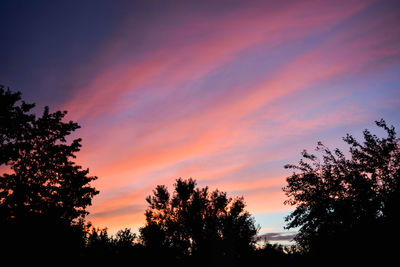 Low angle view of silhouette trees against sky during sunset