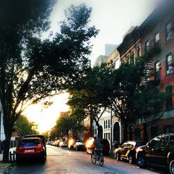 Cars parked on street