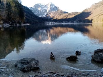 Scenic view of lake