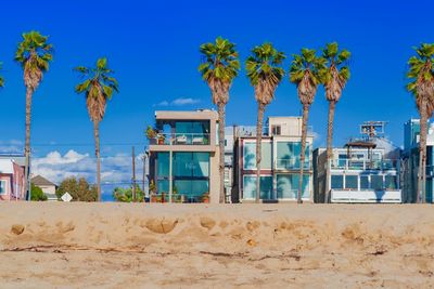 Palm trees on beach against blue sky