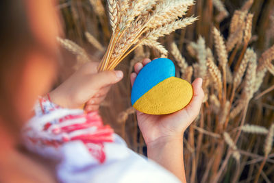 High angle view of girl holding heart shape standing at farm