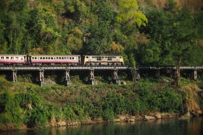Railroad tracks by river amidst trees