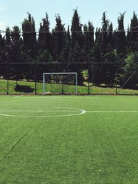 View of soccer field against trees