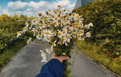 Man holding flowering plant by road