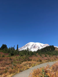 Scenic view of landscape against clear blue sky