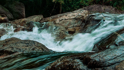 Scenic view of waterfall in forest