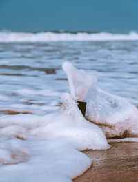 Close-up of ice on beach