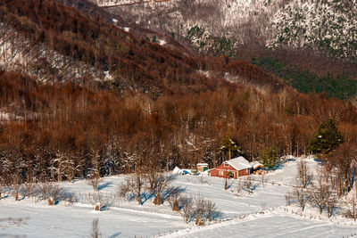 View of snow covered land