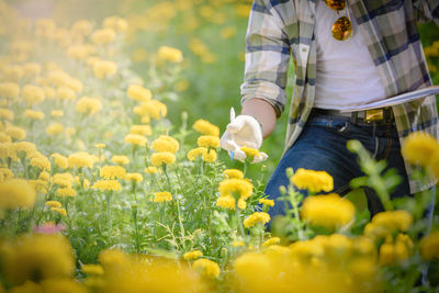 Close-up of yellow flowering plants on field