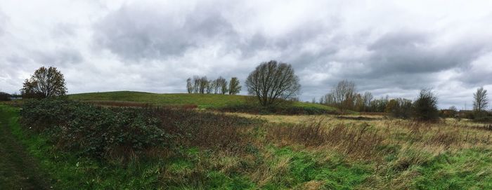 Panoramic view of agricultural field against sky