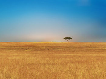 Scenic view of land against clear sky