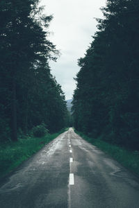 Road amidst trees against sky