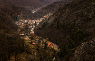 High angle view of trees and buildings in town