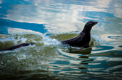 View of water in water