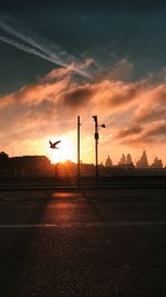 Silhouette birds flying against orange sky