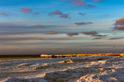 Scenic view of snow covered field against sky during sunset