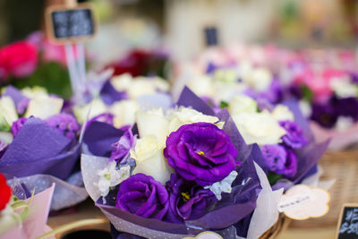 Close-up of purple flowers on table