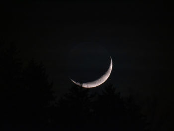 Low angle view of moon against sky at night