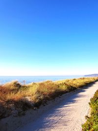 Scenic view of beach against clear blue sky