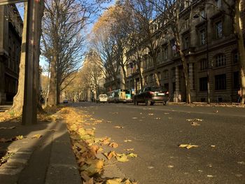 Surface level of road amidst buildings during autumn