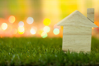 Close-up of small house model on field