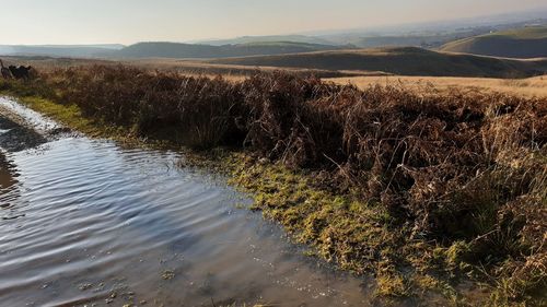 Scenic view of river against sky