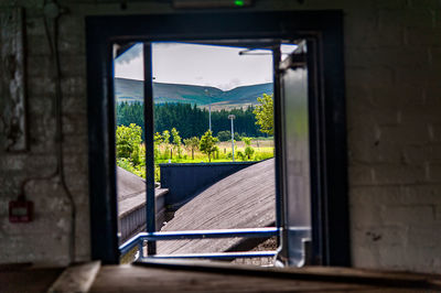 Close-up of window