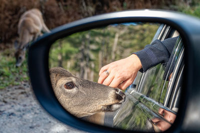 Reflection of road on side-view mirror