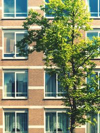 Building with trees in background