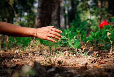 Midsection of woman hand on field