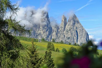 Panoramic shot of trees on land against sky