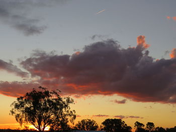 Low angle view of silhouette trees against dramatic sky