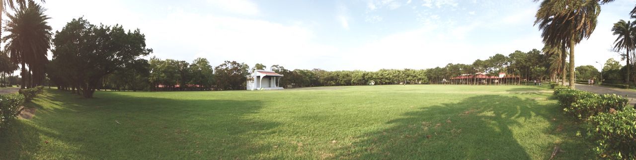 tree, grass, sky, green color, growth, palm tree, building exterior, tranquility, tranquil scene, built structure, cloud - sky, field, nature, architecture, lawn, cloud, sunlight, park - man made space, shadow, beauty in nature