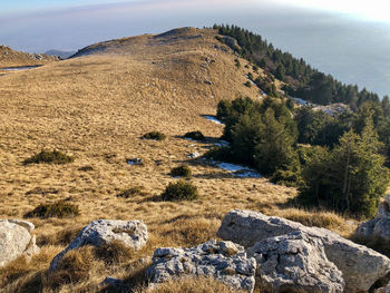 Monte pizzoc, treviso, veneto, italy. 