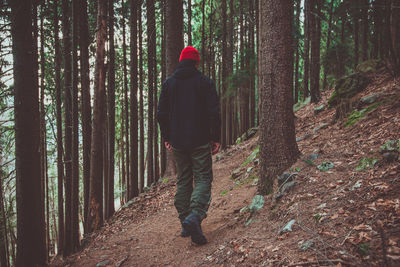 A man walking in the woods thinking concept of relaxing activity and escape from the city