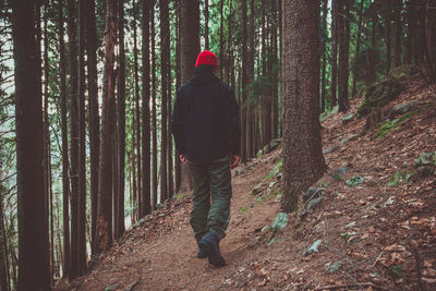 Rear view of man walking in forest