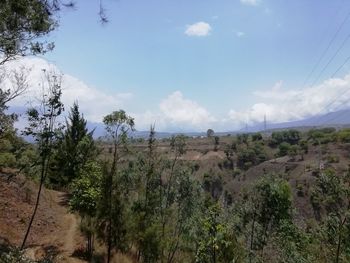 Panoramic view of landscape against sky