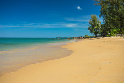 Scenic view of beach against blue sky