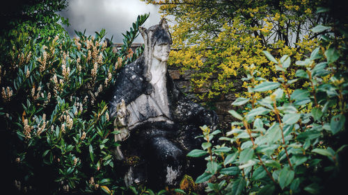 Statue of plants against trees