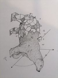 Close-up of text on paper against white background